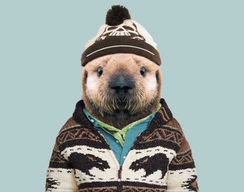 Incredibly Cute Portraits of Baby Animals Dressed Like Humans