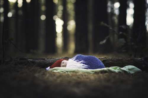 I Was Asked To Do An Infant Photo Session In The Forest, I’ll Admit I Was Terrified But The Results Were Stunning