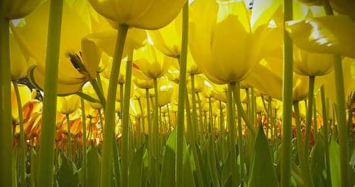 10+ Kids Who Amazed The World And Won The National Geographic’s Photography Contest For Kids