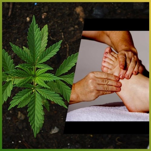 How CBD can be a Curative & Therapeutic Remedy