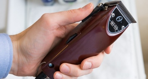 Oster Professional 76023-510 Fast Feed Clipper with Adjustable Blade (September 2021)