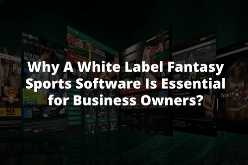 Why A White Label Fantasy Sports Software Is Essential for Business Owners? - AtoAllinks