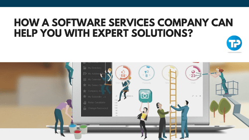 How a Software Services Company Can Help You with Expert Solutions?